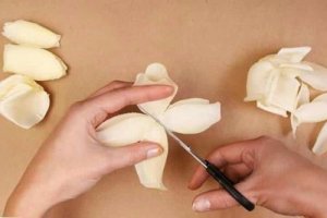 Bloemblaadjes knippen