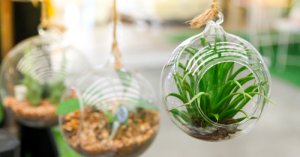 Vier tips om een kleine tuin mooi in te richten