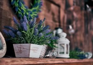 Houten bloempotten met lavendel