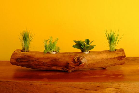 Zo maakt je horizontale boomstam plantenpotten