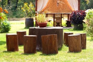 Boomstammen als decoratie? Hier lees je hoe!