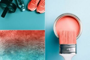 De kleur van het jaar is weer gekozen door Pantone