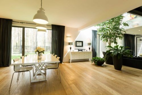 grote woonkamer met grote planten
