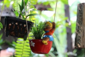 Een schommel met een plant voor je raam geeft een leuk effect