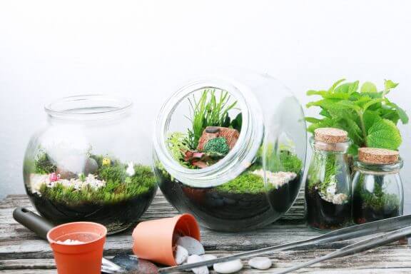Decoratieve glazen terrariums