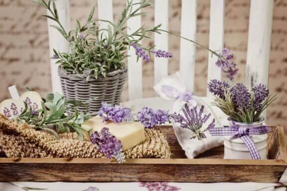 Potjes en vaasjes met bloemen