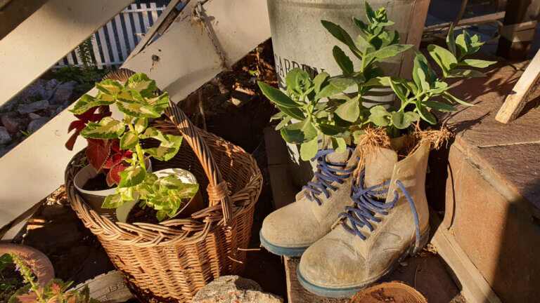 Maak creatieve bloempotten met laarzen en sneakers