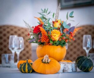 Creatieve natuurlijke arrangementen als decoratie