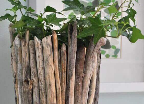 Plantenbak met drijfhout