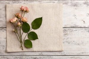 De beste soorten droogbloemen voor een boeket