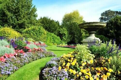 Tuin met fontein