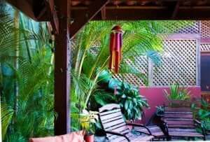 Houten pergola en planten