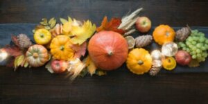 Decoreren met gedroogd fruit en groenten