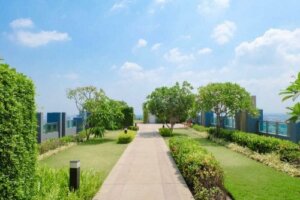 Alles wat je over groene daken moet weten