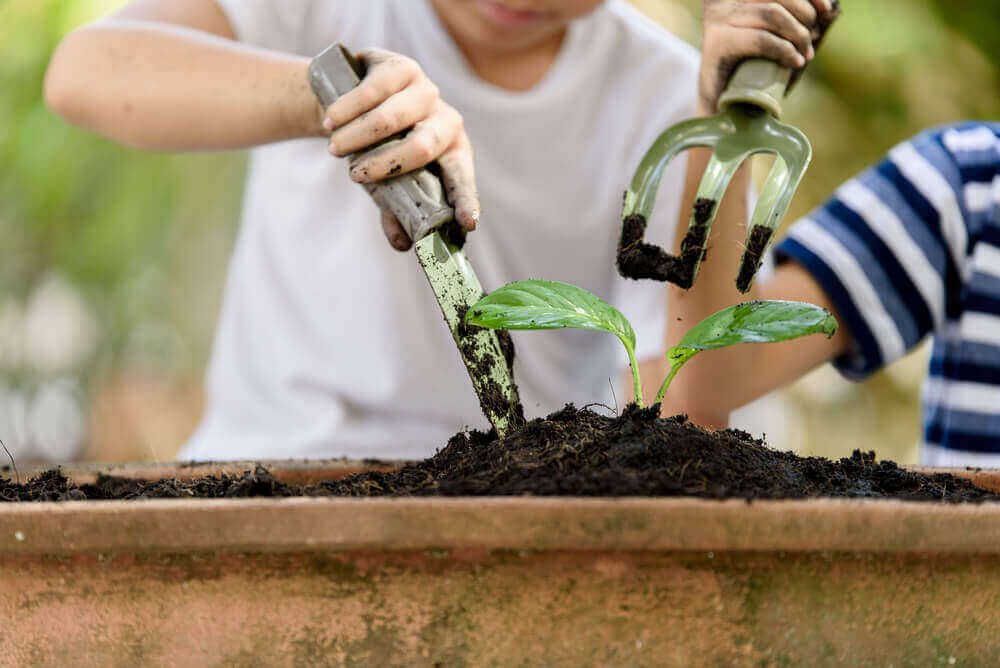 Tuinieren op je balkon
