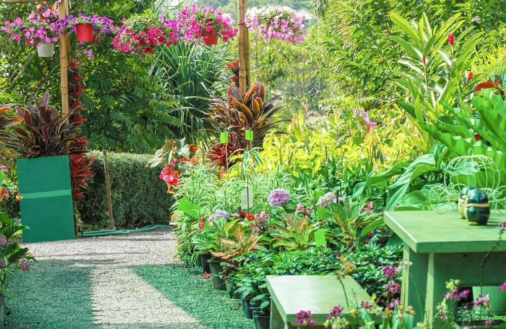 Mooie planten in de tuin