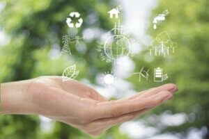 Duurzame decoratie voor een betere planeet