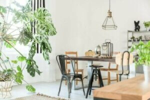 5 manieren om je huis met planten te decoreren