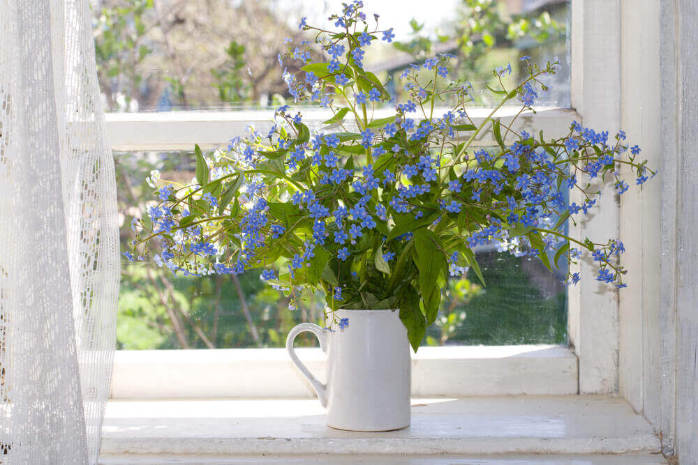 Vensterbank met bloemen