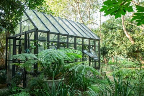 Kas met glazen panelen