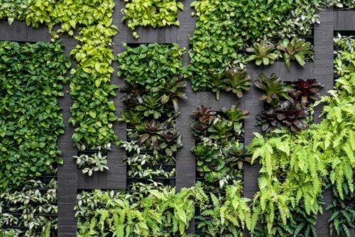 Onze tips: soorten tuinmuren voor je tuin