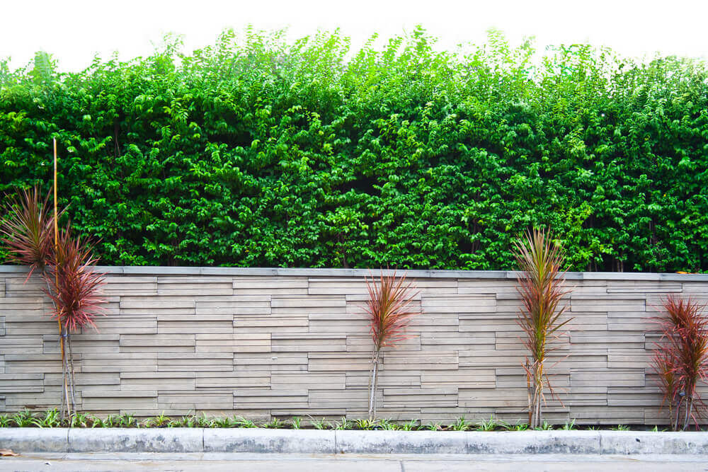 Afscheiding voor je tuin