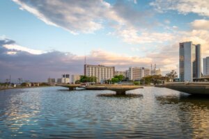 Burle Marx en de geboorte van moderne landschapsarchitectuur