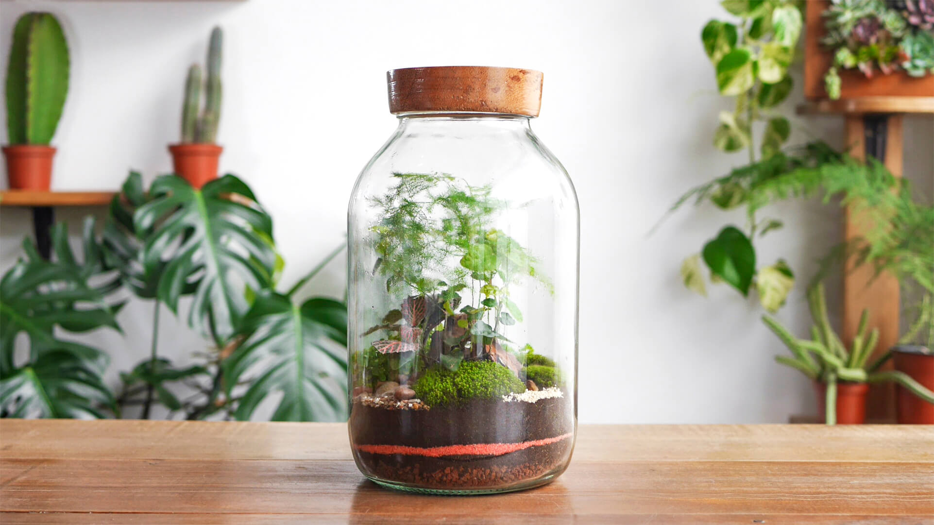 Tuin in een glazen pot