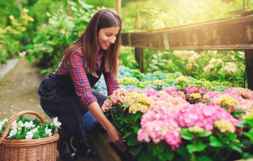 Vrouw tuiniert met bloemen