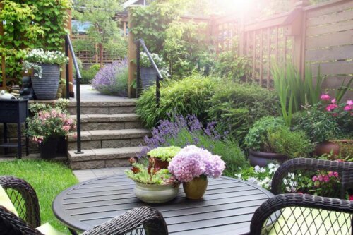 Hoe je planten voor je tuin kiest en combineert