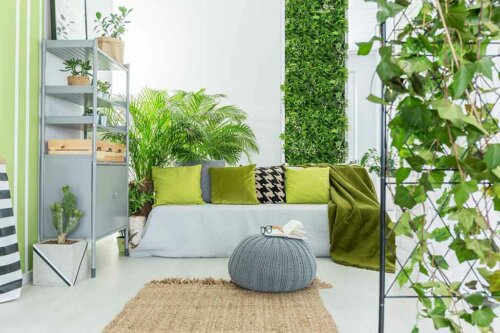 Wil jij een verticale tuin maar weet je niet waar te beginnen?