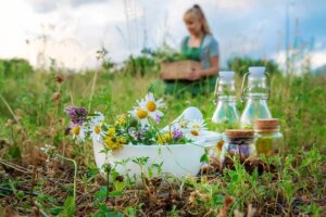 Geneeskrachtige planten om thuis te kweken