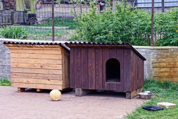 Hoe maak je een hondenhok voor je hond?