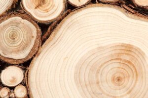 Boomstammen en takken gebruiken om je huis te decoreren