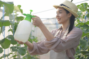 Zelfgemaakte insecticiden voor je planten