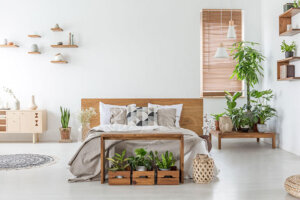 Decoreer je slaapkamer met planten: het is eenvoudig