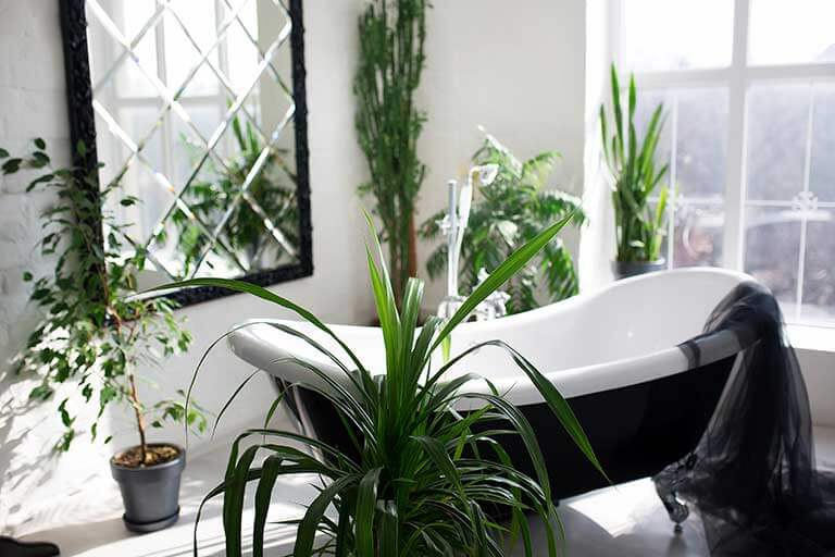 Creëer een natuurlijke badkamer