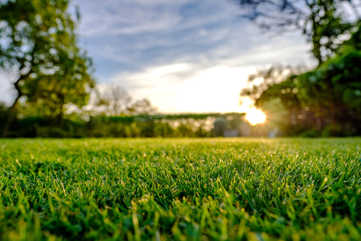 5 dingen waar je rekening mee moet houden voor je kunstgras in je tuin legt