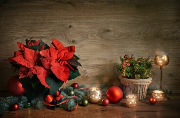 Praktische opbergoplossingen voor kerstdecoraties