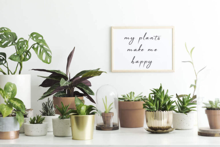 Dopamine decor: een trend die vreugde opwekt
