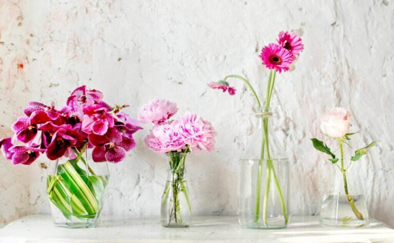 Decoratieve elementen die een gevoel van lichtheid teweegbrengen