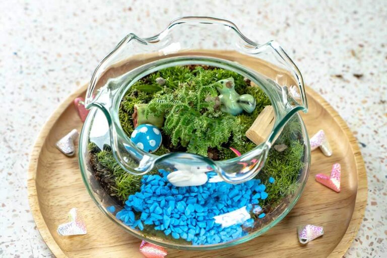 Creëer thuis je eigen watertuin
